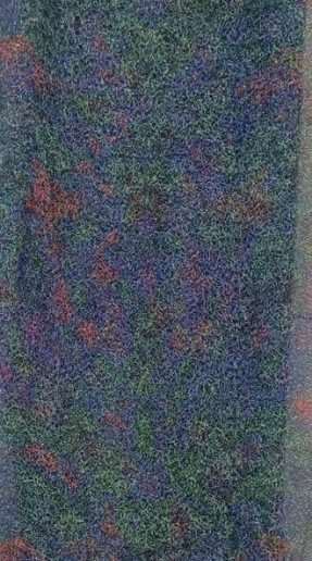 TISSUE NET-2615-MULTI COLOR
